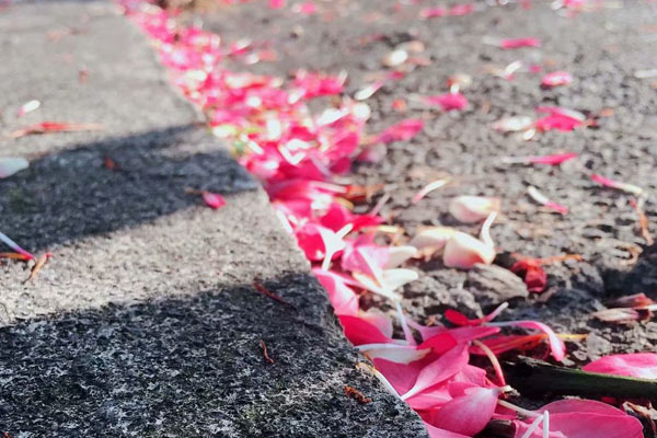 今年春節(jié)你拍照了嗎？來跟卓航信息小卓斗圖呀？