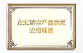 企業(yè)首套產(chǎn)品示范應(yīng)用項目 企業(yè)首套產(chǎn)品示范應(yīng)用項目